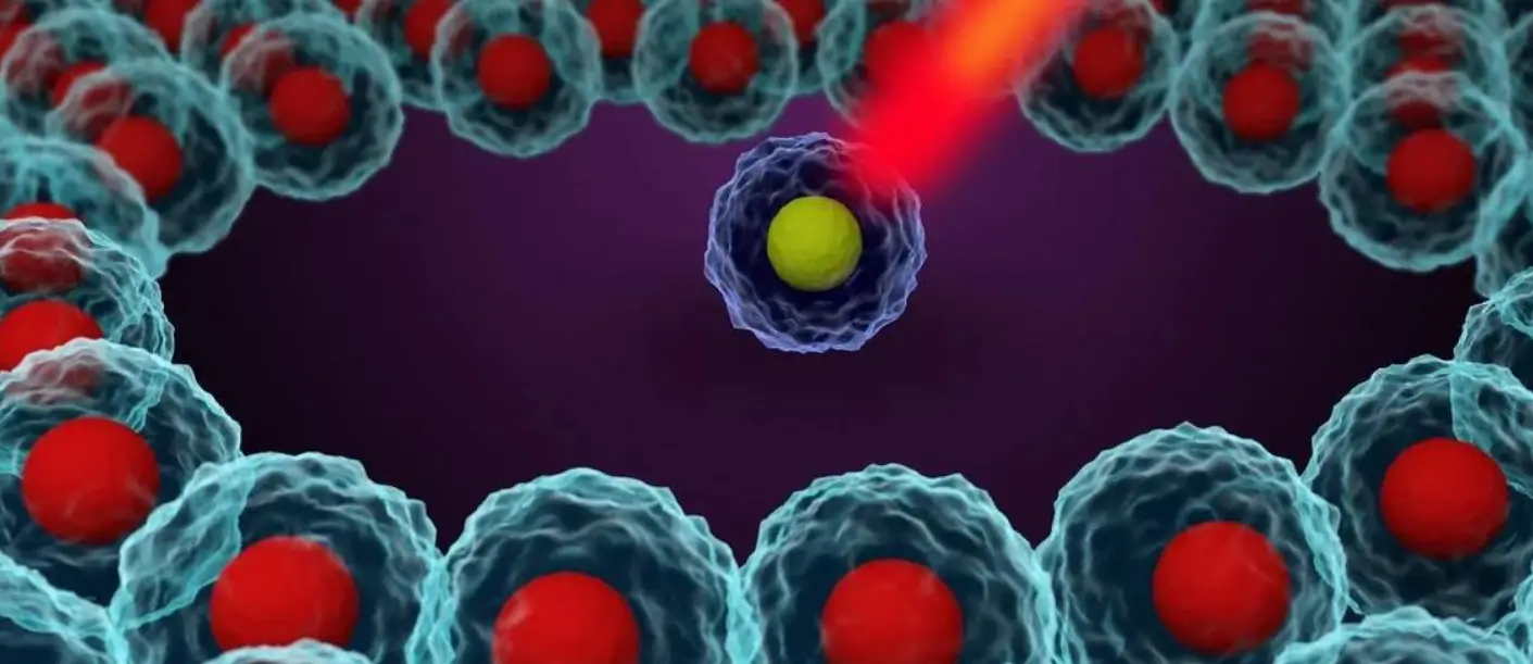Why Automated Cell Counting is Important for Modern Research