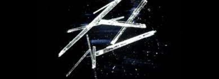 Quantitative Kinematic Analysis of Jumping Crystals Presented