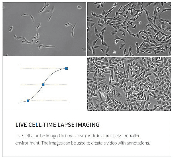 CELENA Live cell time lapse imaging