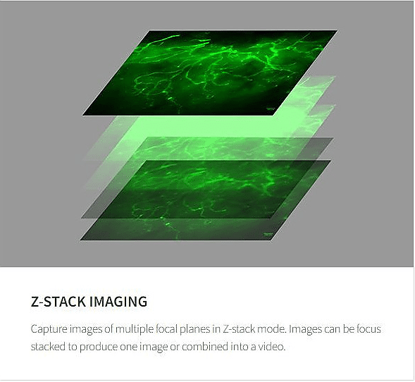 CELENA z stack imaging