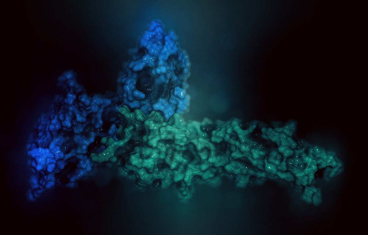 How to measure cell death and why it’s important