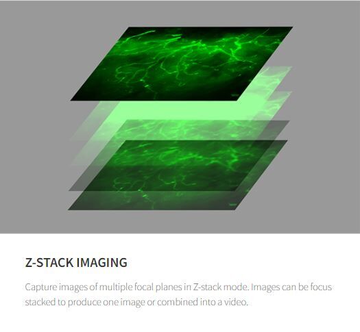 Celena S Z stacking