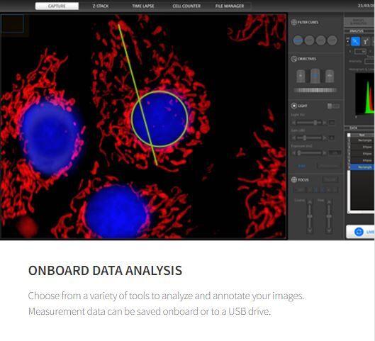 Celena S onboard data analysis