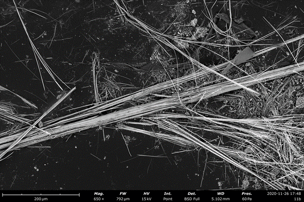 Modernising Asbestos testing with a desktop Phenom Scanning Electron Microscope