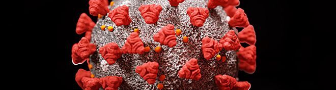 Population-wide immune responses to SARS-CoV-2: Insights from quantifying the antibody response