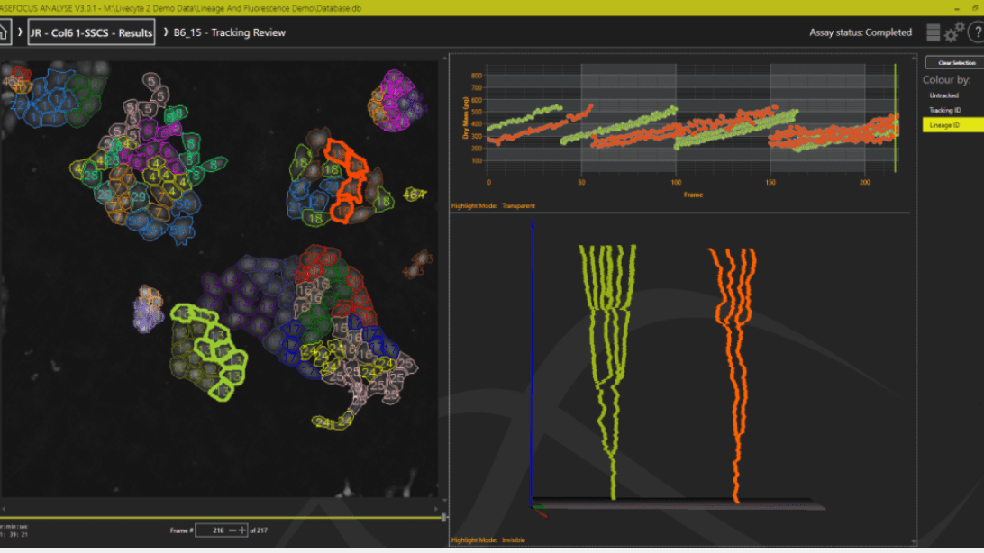 Identify unexpected cell behaviours: Non-invasive live cell imaging
