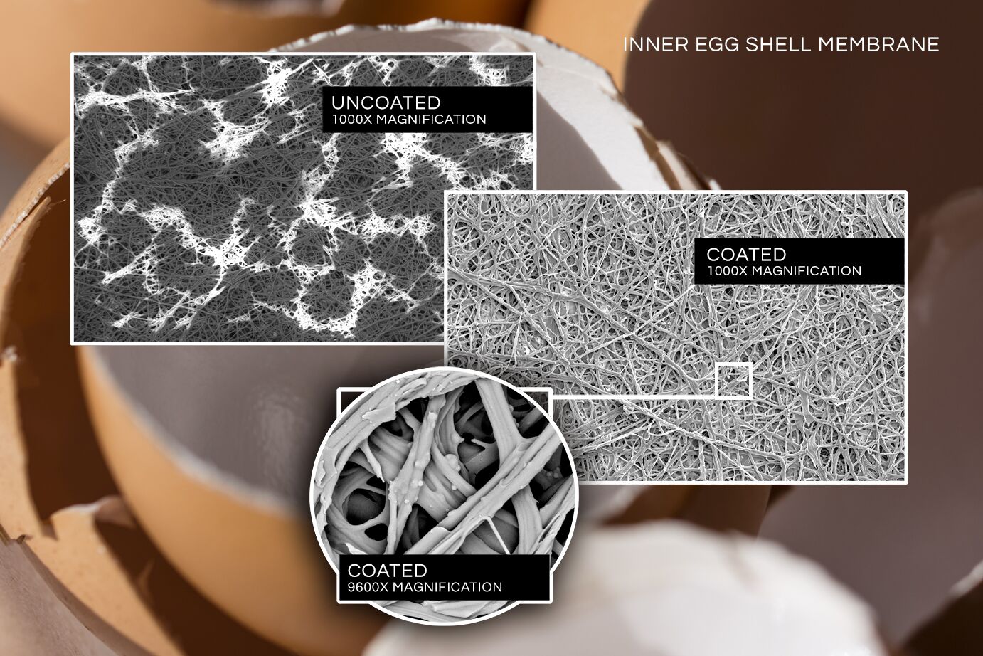 Plastic,Fiberglass,And,Raw,Material