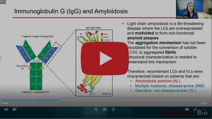 Characterising Amyloid-Forming Immunoglobulin G Light and Variable Chains Using Microfluidic Modulation Spectroscopy (MMS)