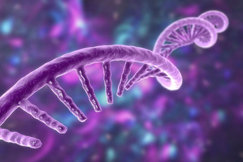 A Fundamental History of RNA