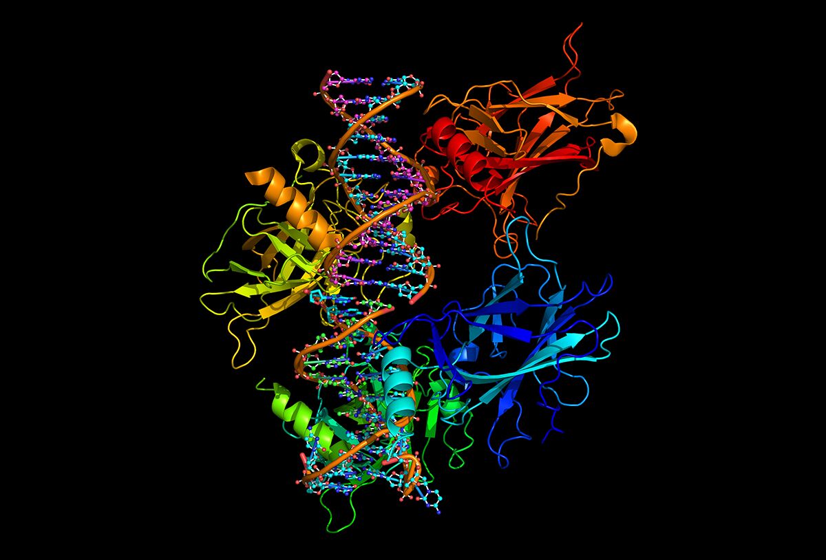 Protein Analysis Techniques Explained