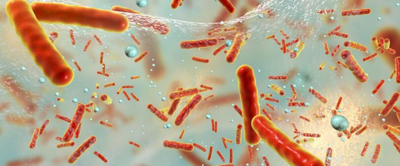 New Gel to Rid Water of Bacteria