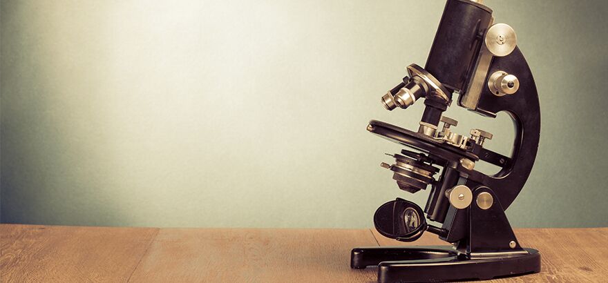 17 SCIENCE BLOGS EVERYONE SHOULD FOLLOW
