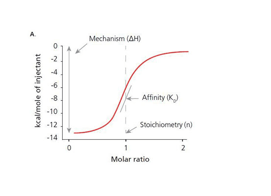 ATA Scientific - (ITC) Measures Biomolecular Interactions (2)