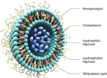 Today’s Technologies Used to Develop the Nanomedicines of Tomorrow