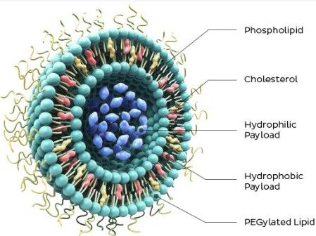 Simple, reproducible, scalable nanoparticle formulation