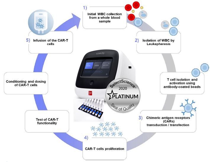 Counting cells doesn’t have to be tedious or expensive