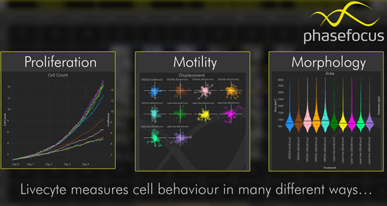 Livecyte changes what’s possible to measure using live cell assays